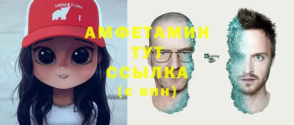 стаф Липки