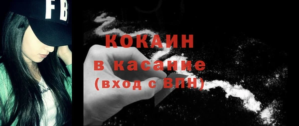 стаф Липки