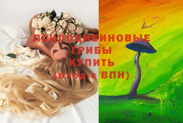 спиды Волоколамск