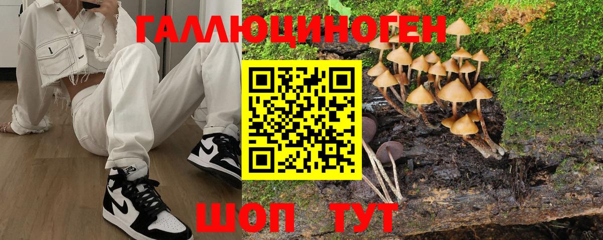 Псилоцибиновые грибы Psilocybe  как найти закладки  Ялуторовск  Вход с VPN 